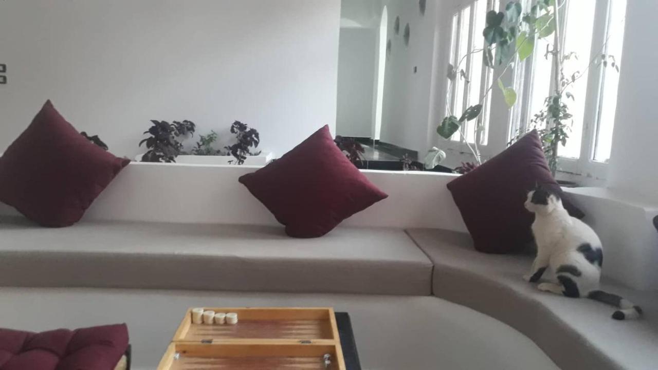 סנטה קתרינה Daniela Village St.Katherine מראה חיצוני תמונה
